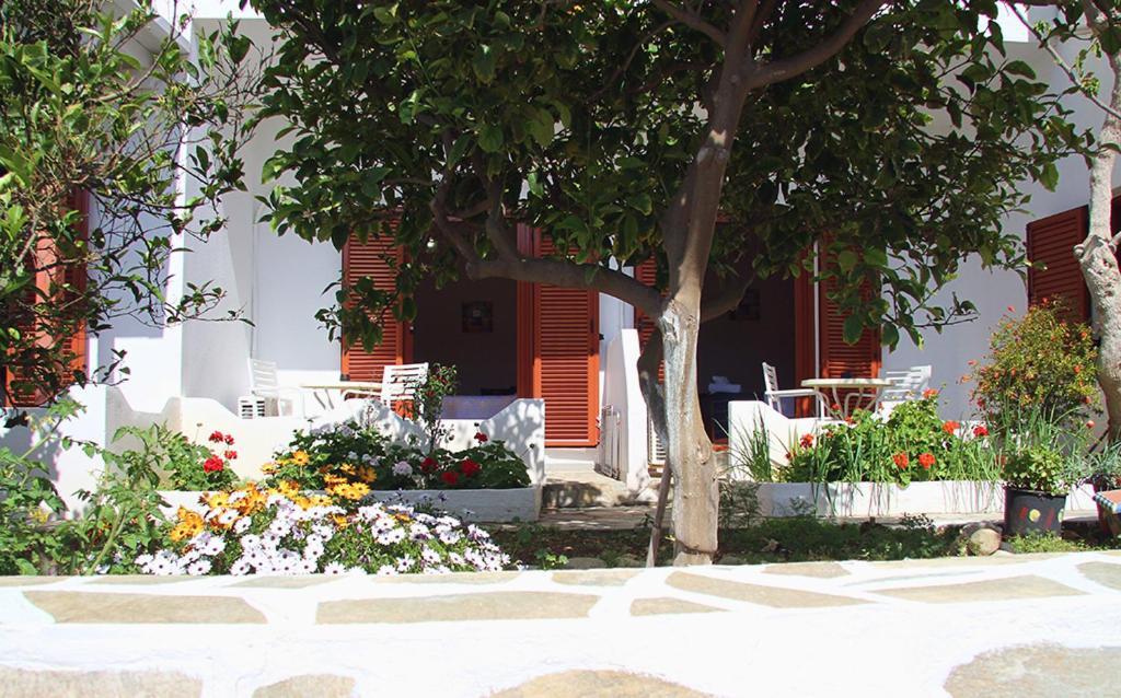 Helios Serifos Livadi  Luaran gambar